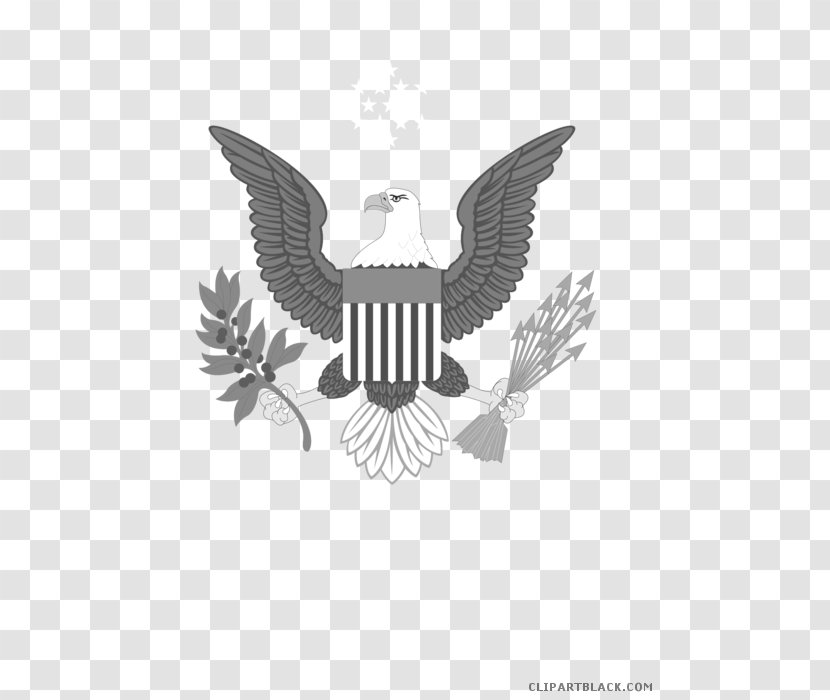 Bald Eagle United States Of America Symbol Vector Graphics Clip Art Transparent PNG