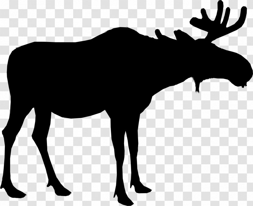 Moose Silhouette Deer Vector Graphics - Terrestrial Animal - Drawing Transparent PNG