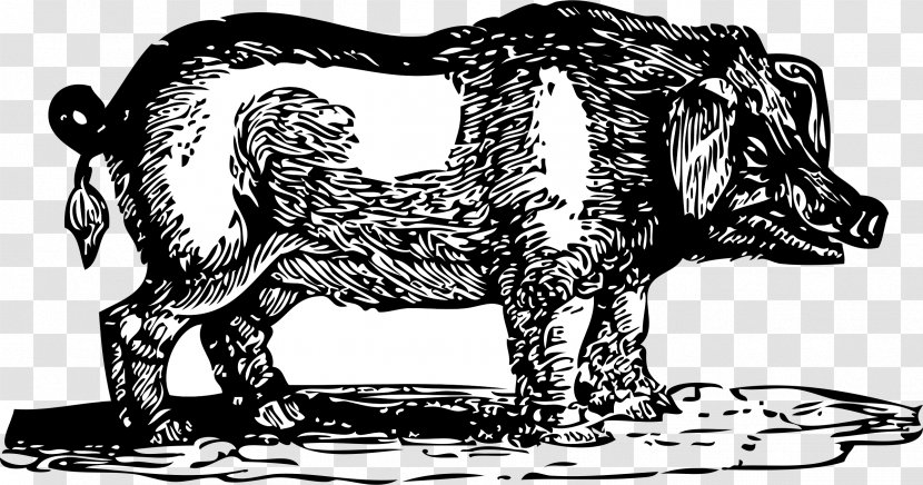 Domestic Pig Clip Art - Feral - Black And White Transparent PNG