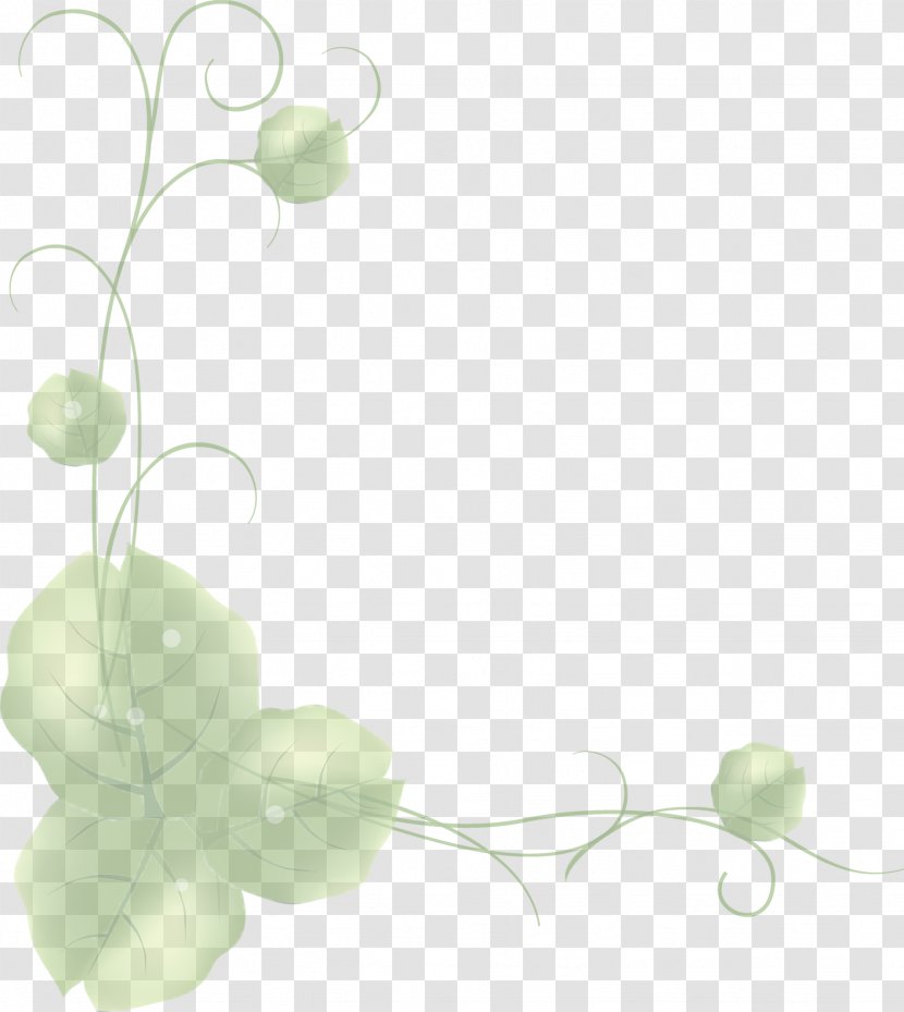 Design Image Green Adobe Photoshop - Painting - Flora Transparent PNG