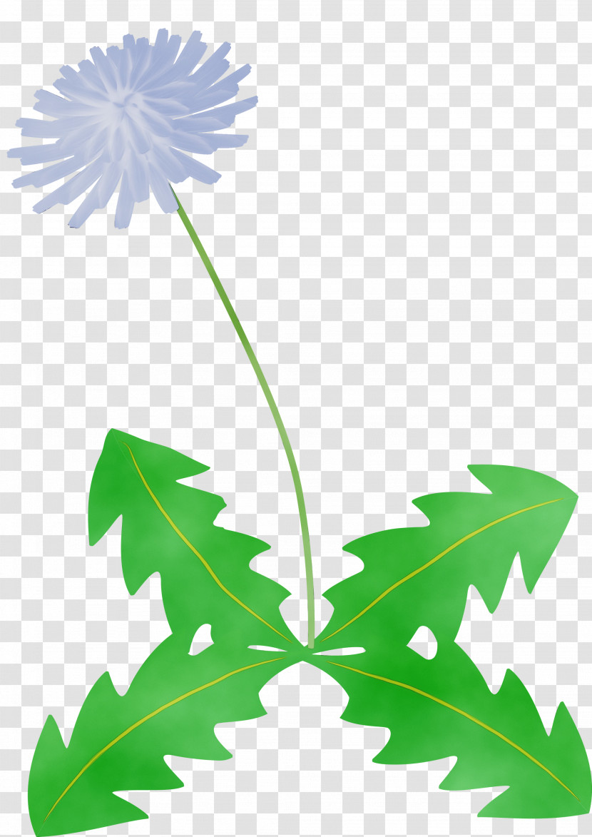 Flower Garden Transparent PNG