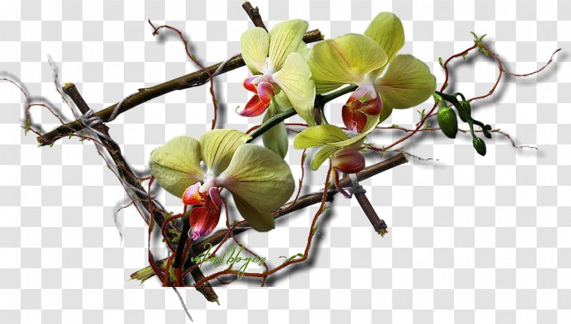 Floral Design Cut Flowers Artificial Flower - Blume Transparent PNG