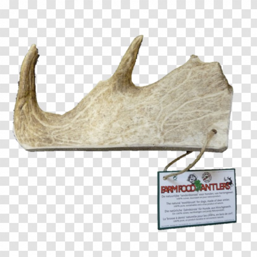 Antler Horn Wood Food /m/083vt Transparent PNG