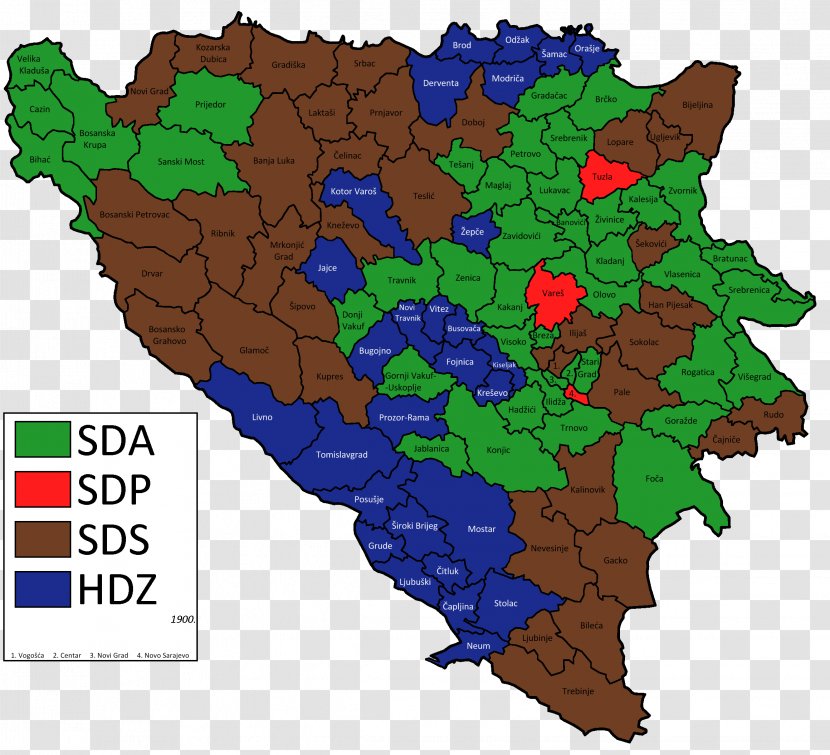 General Election In Bosnia And Herzegovina, 2018 Bosnian War Vector Graphics Stock Illustration - Herzegovina - Tree Transparent PNG