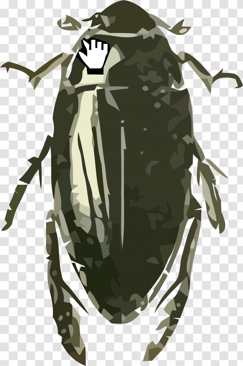 Beetle Hydrophilus Triangularis Grasshopper Image - Hydrophilidae Transparent PNG