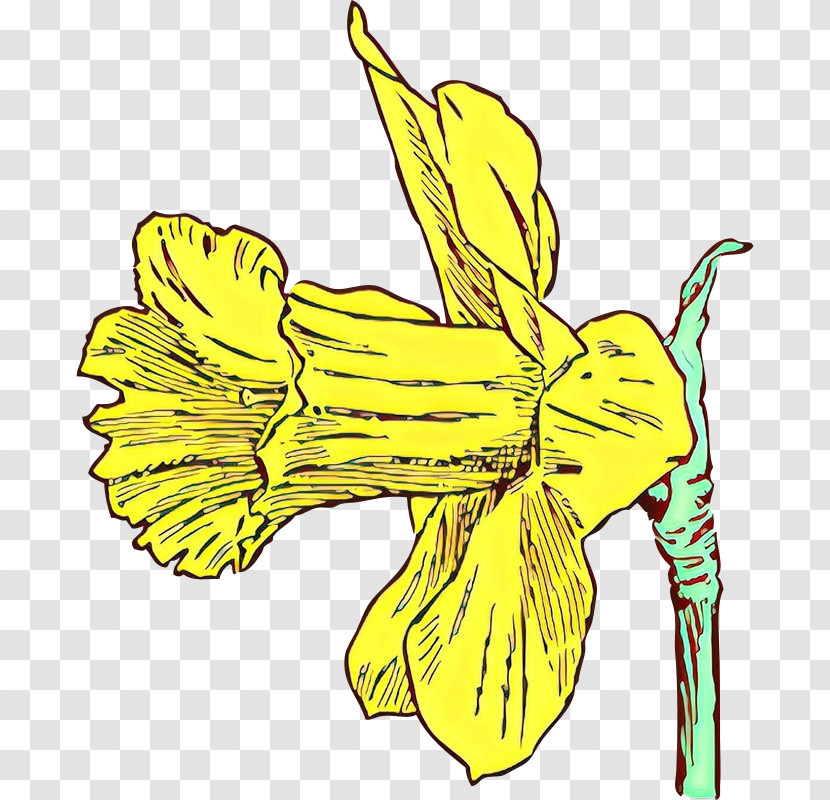 Yellow Flower Plant Narcissus Daylily Transparent PNG