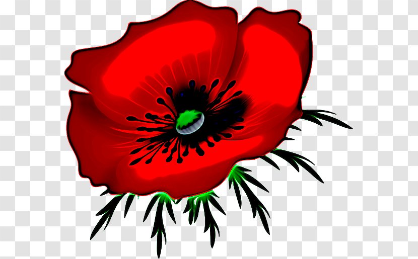 Red Oriental Poppy Flower Plant - Corn - Flowering Coquelicot Transparent PNG