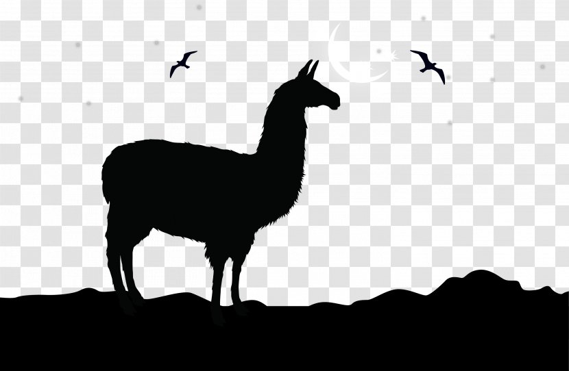 Alpaca Llama Logo Clip Art - Mammal - Vector Camel Silhouette Illustration Transparent PNG