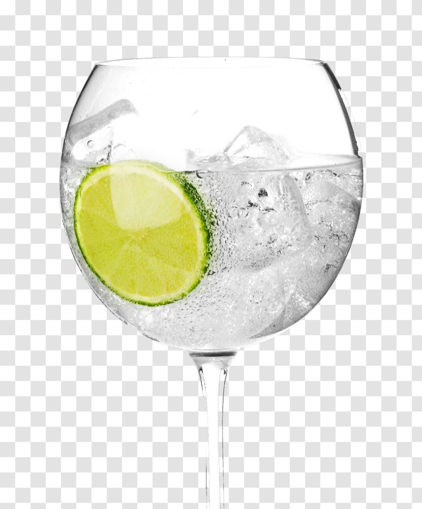 Cocktail Gin And Tonic Martini Vermouth Transparent PNG