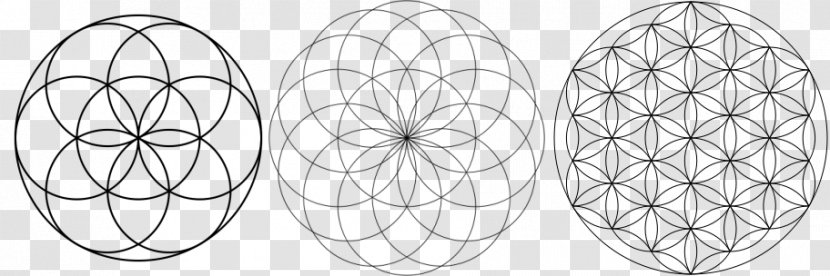 Sacred Geometry Overlapping Circles Grid Symbol - Earth Mysteries Transparent PNG