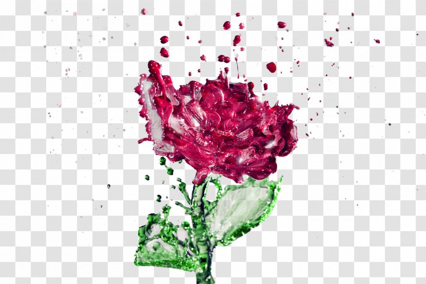 Pink Flowers Garden Roses Rose Water - Blume Mit Wassertropfen Transparent PNG