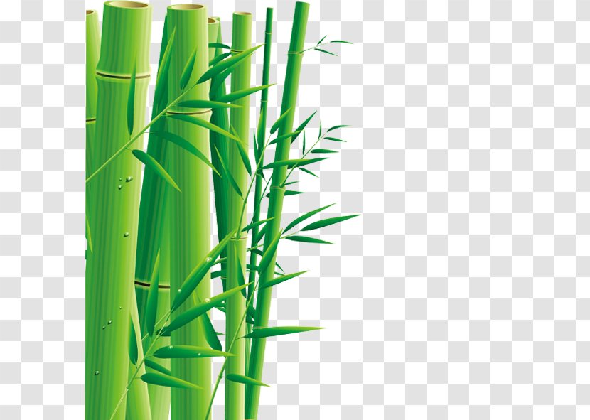 Zongzi U7aefu5348 Dragon Boat Festival Bamboo Transparent PNG