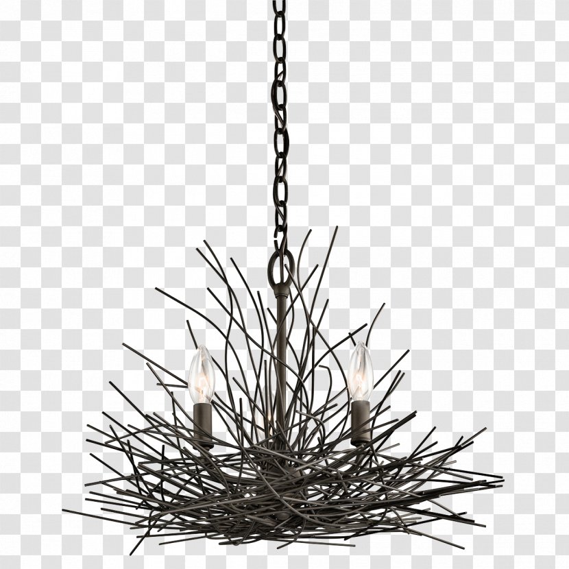 Chandelier Light Fixture Lighting Pendant - Twig Transparent PNG