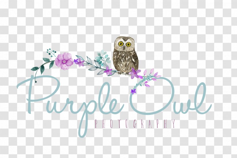 Purple Owl Photography Logo Brand Font Transparent PNG
