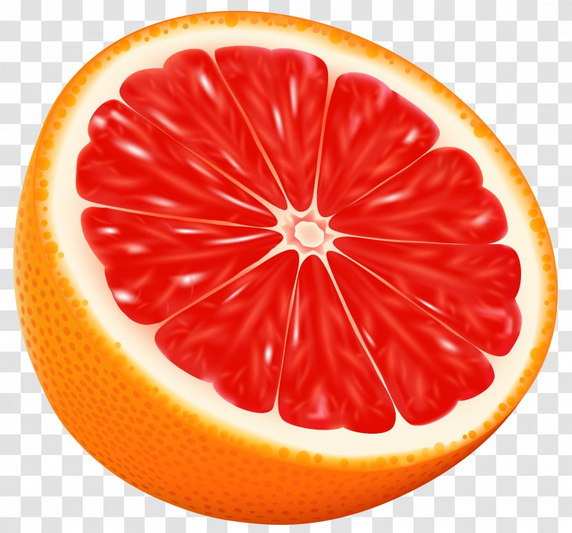 Orange Clip Art - Food - Half Red Vector Clipart Image Transparent PNG