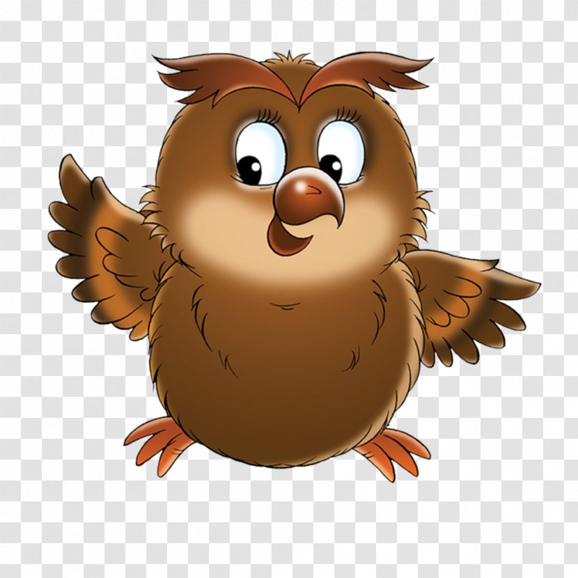 Tawny Owl Bird Cartoon Clip Art - Drawing Transparent PNG