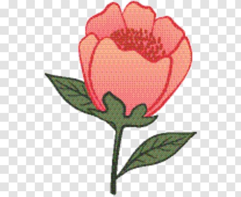 Pink Flower Cartoon - Heart - Bud Prickly Rose Transparent PNG