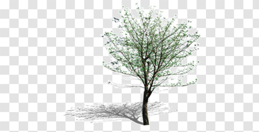 Tree Leaf Computer Pattern Transparent PNG