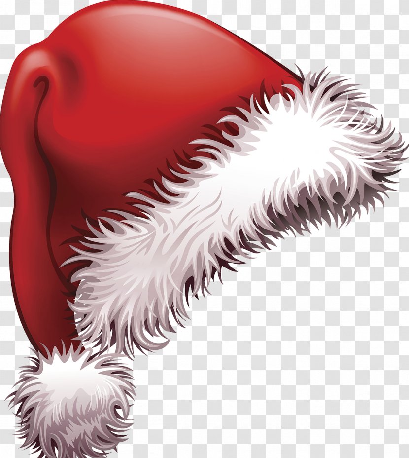 Santa Claus Christmas Hat - Tree Transparent PNG