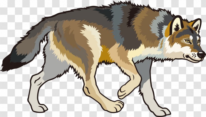 Arctic Wolf Eastern Clip Art - Fauna - Vector Dog Transparent PNG