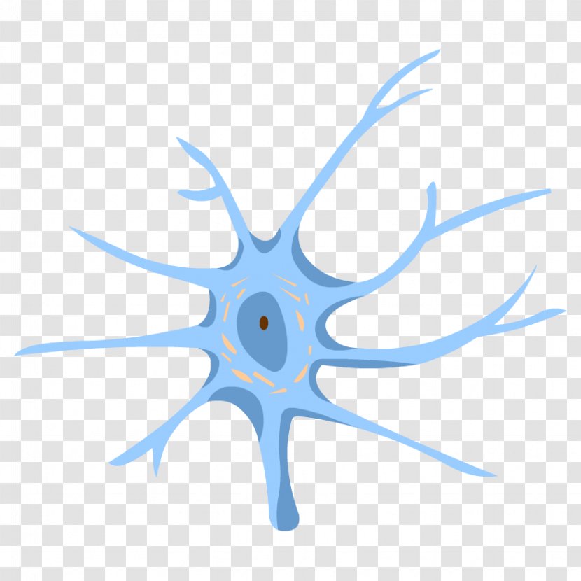 Central Nervous System Nerve Neuron Human Body - Tree Transparent PNG