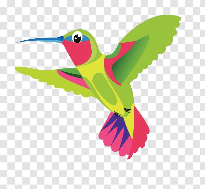 Hummingbird - Royaltyfree - Bird Transparent PNG