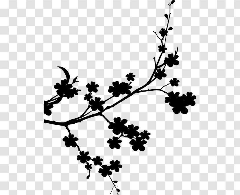 Grape Plant Stem Black & White - M Twig Flower Transparent PNG