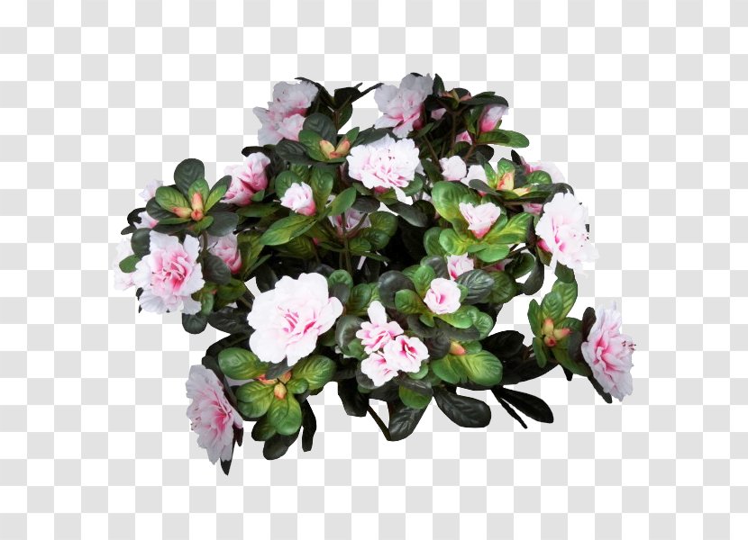 Azalea Flowerpot Houseplant Pink M Annual Plant - Flower Transparent PNG