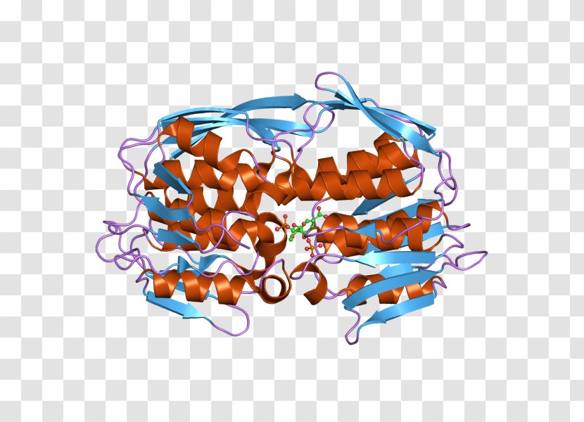 EPSP Synthase Tyrosine Kinase Transferase Enzyme - Watercolor - Flower Transparent PNG