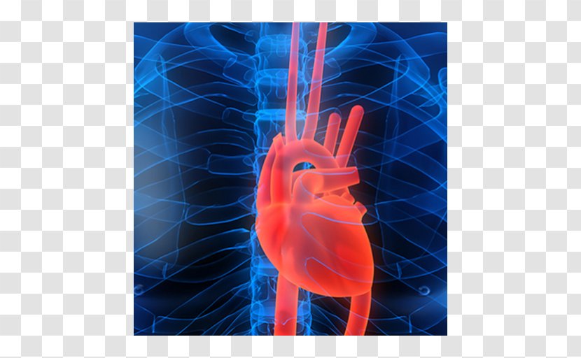 Cardiovascular Disease Cardiology Cardiac Imaging Heart Acute Myocardial Infarction - Watercolor Transparent PNG