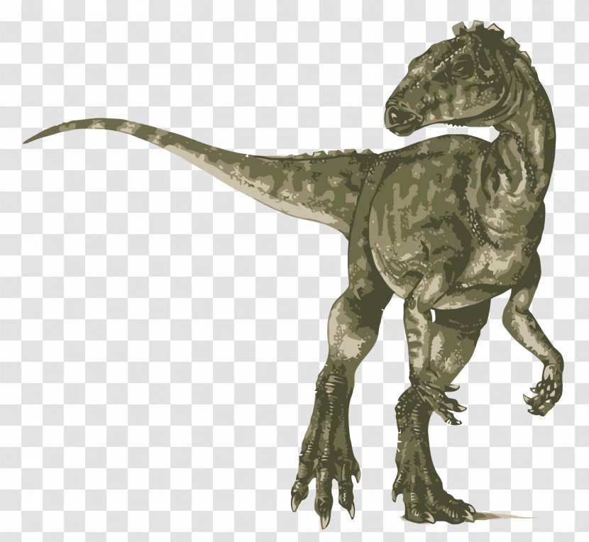 Heterodontosaurus Tyrannosaurus Velociraptor Ankylosaurus Stegosaurus - Vector Dinosaur Transparent PNG
