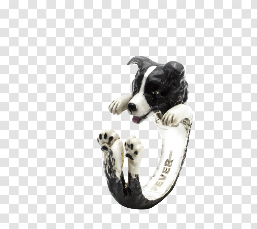 Dog Breed Border Collie Rough Bernese Mountain Puppy - Silver Transparent PNG