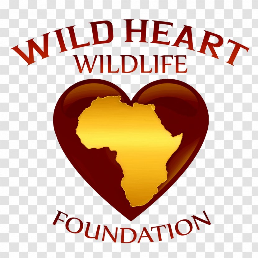 Organization Non-profit Organisation African Wildlife Foundation Wilderness - Flower - Heart Transparent PNG