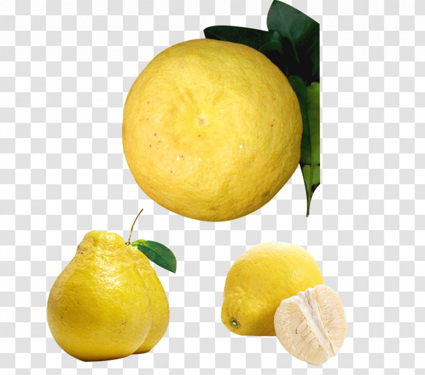 Lemon Citrus Junos Citron Pomelo Tangelo - Rangpur - Fresh Grapefruit Transparent PNG