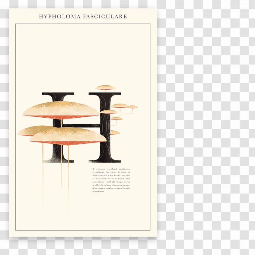 Graphic Designer Poster Flora - Fauna - Design Transparent PNG