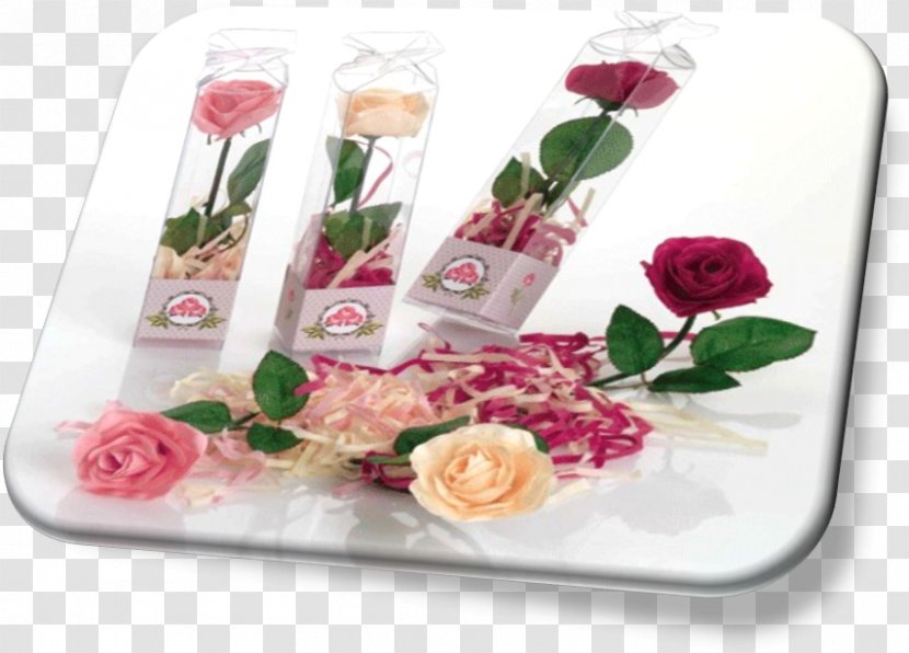 Garden Roses Cut Flowers Floral Design - Artificial Flower - Aroma Transparent PNG