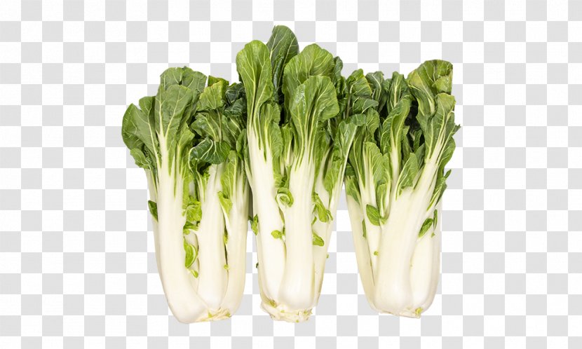 Vegetables Cartoon - Chinese Cabbage - Chard Tatsoi Transparent PNG