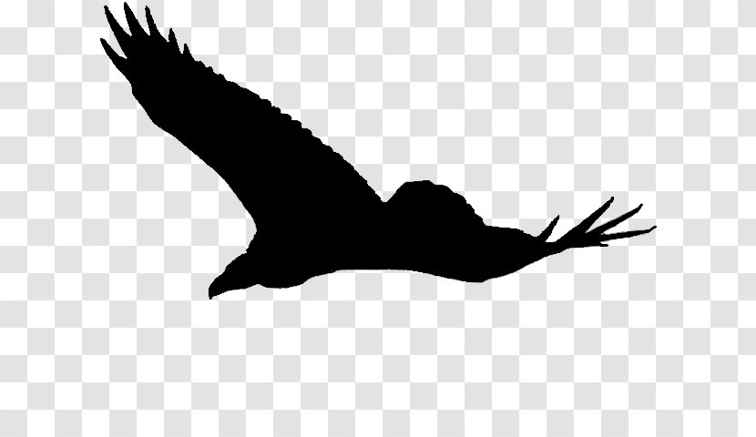 Eagle Fauna Silhouette Wildlife Clip Art - Black - Argentavis Magnificens Transparent PNG