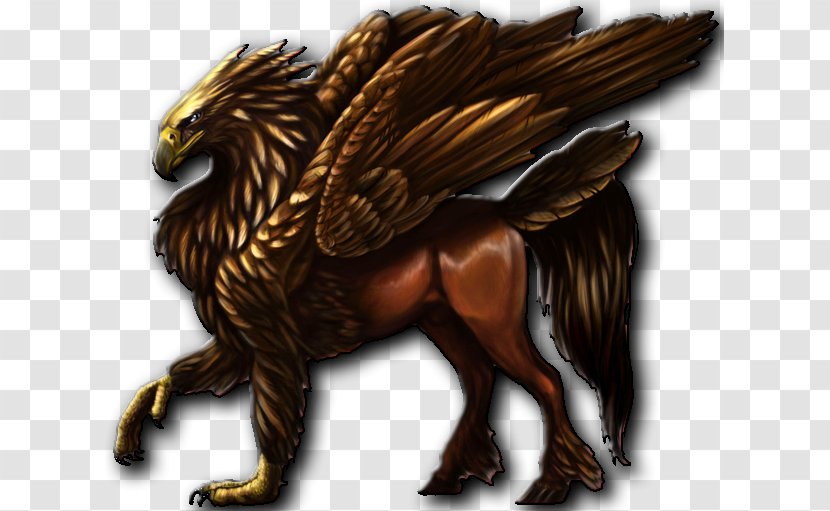 Hippogriff Griffin Legendary Creature Horse Drawing - Monster Transparent PNG