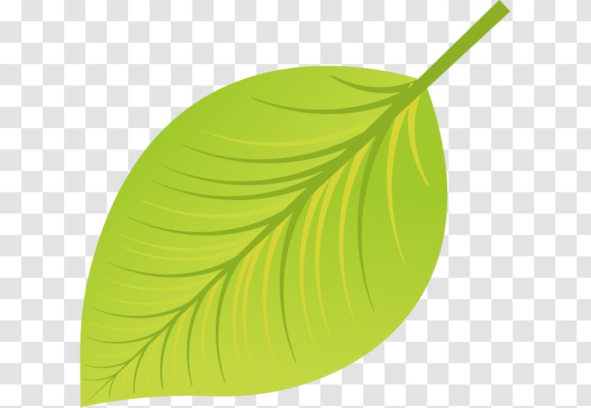 Green Leaf Euclidean Vector - Verde Amarillo - Yellow Leaves Material Free Dig Transparent PNG