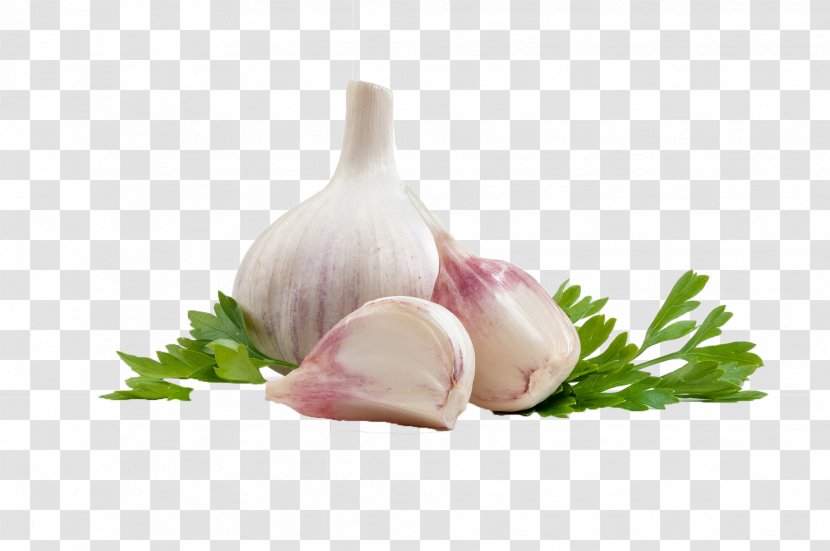 Garlic Mediterranean Cuisine Bay Leaf Ingredient - Food - Artist Names Transparent PNG