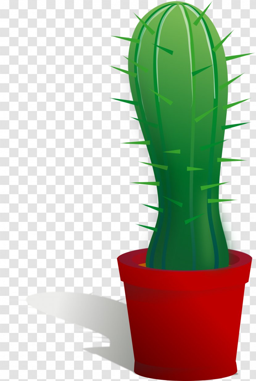 Cactaceae Clip Art - Plant - Cactus Transparent PNG