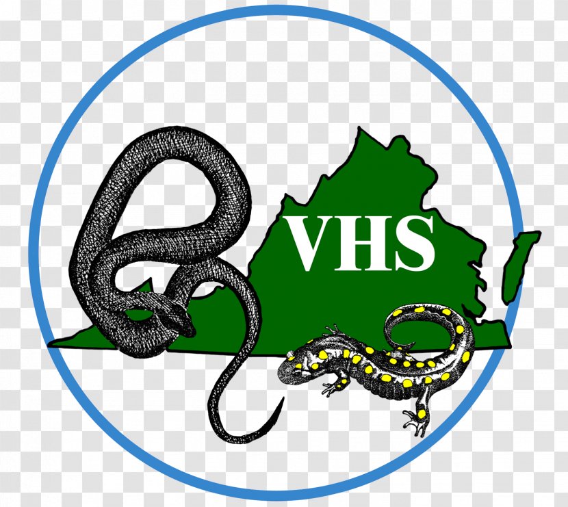Snake Virginia Herpetological Society Herpetology Reptile Transparent PNG