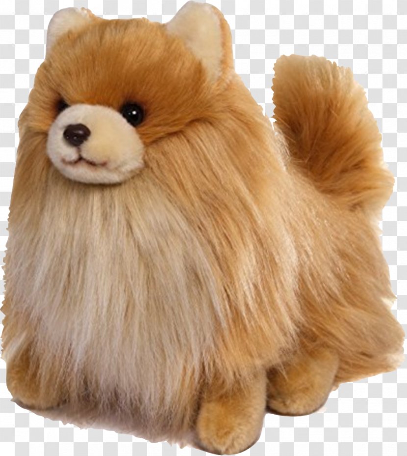 Pomeranian Puppy Boo: The Life Of World's Cutest Dog Gund - Breed Transparent PNG