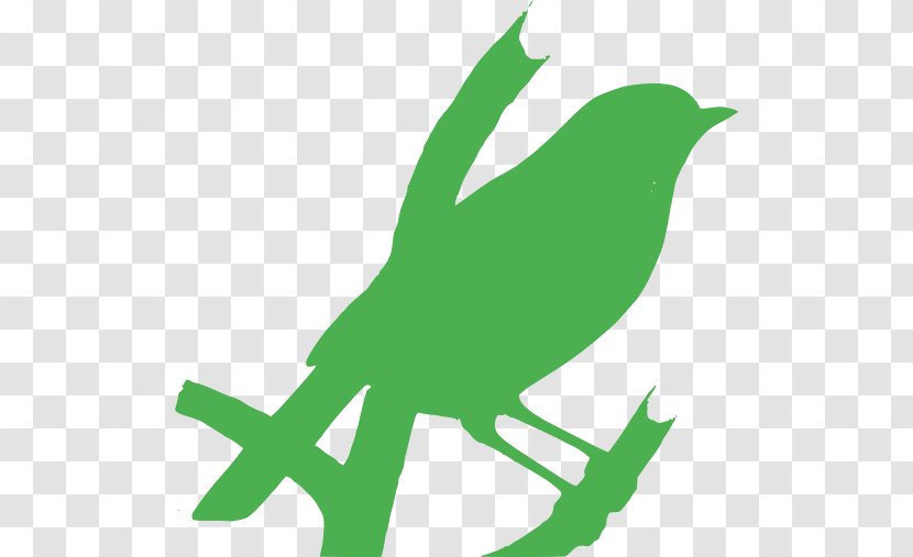Bird Logo - Illustrations - Green Transparent PNG