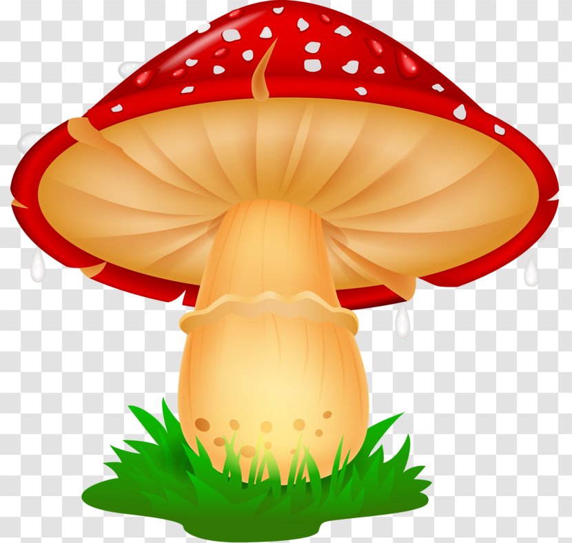 Frog Mushroom Clip Art - Food Transparent PNG