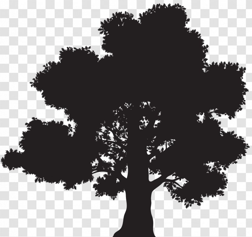 Vector Graphics Oak Royalty-free Stock Photography Illustration - Plant - Tree Transparent PNG