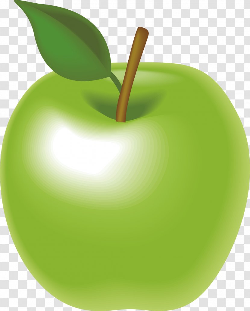 Granny Smith Apple Animation - Fruit - Green Vector Transparent PNG