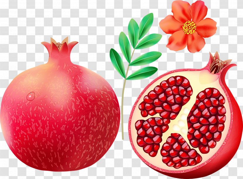 Natural Foods Pomegranate Fruit Accessory Superfruit - Berry Food Transparent PNG