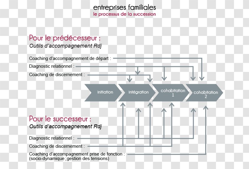 Organization Family Business Processus Management Inheritance Law - Ion Transparent PNG